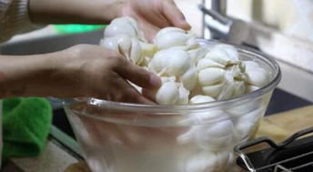 怎樣腌制糖蒜 糖蒜的正確腌制方法竅門(mén)